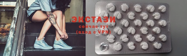 индика Каменногорск