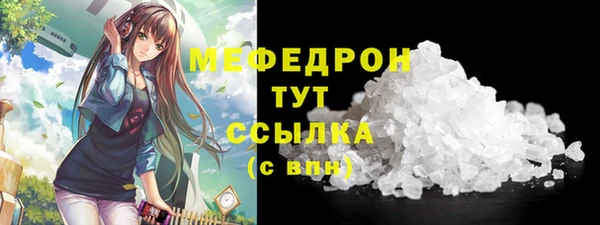 индика Каменногорск