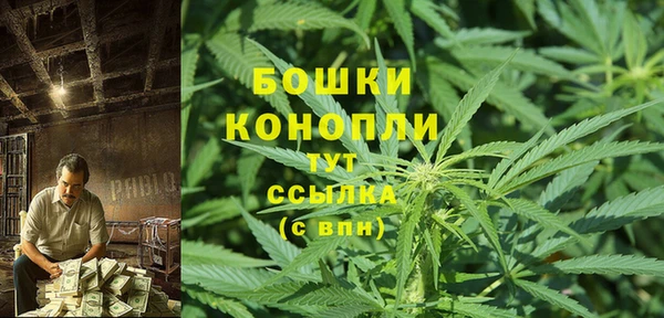 индика Каменногорск