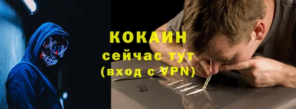 индика Каменногорск