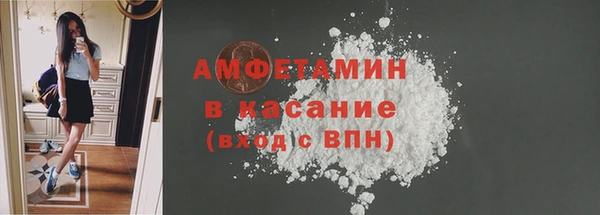 индика Каменногорск