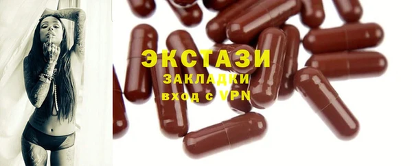 индика Каменногорск