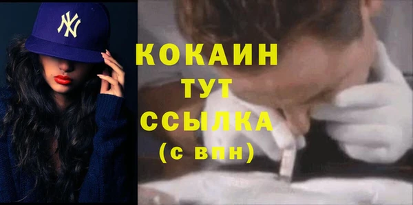 индика Каменногорск