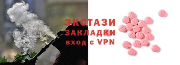 индика Каменногорск