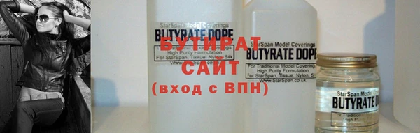 индика Каменногорск