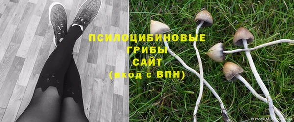 первитин Каменка