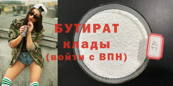 индика Каменногорск