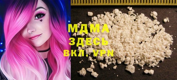 индика Каменногорск