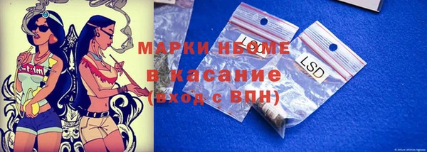 индика Каменногорск