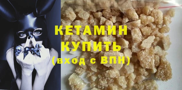 индика Каменногорск