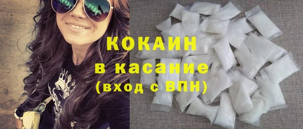 индика Каменногорск