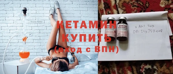 индика Каменногорск