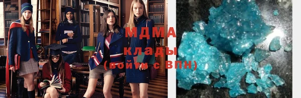 индика Каменногорск