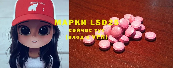первитин Каменка