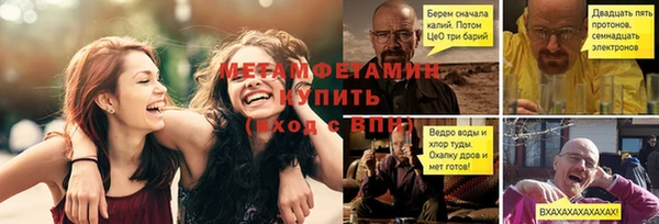 индика Каменногорск