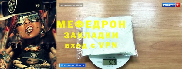 индика Каменногорск