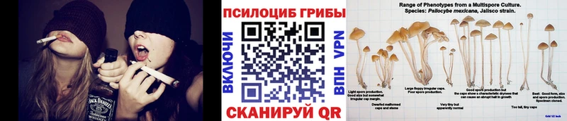 Псилоцибиновые грибы прущие грибы Купить где Кинель