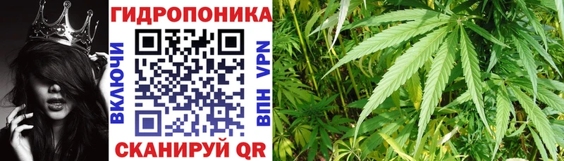 Купить  Кинель  Шишки марихуана Ganja 